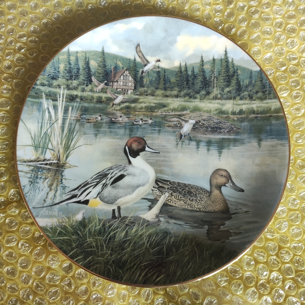 Collectors Plate